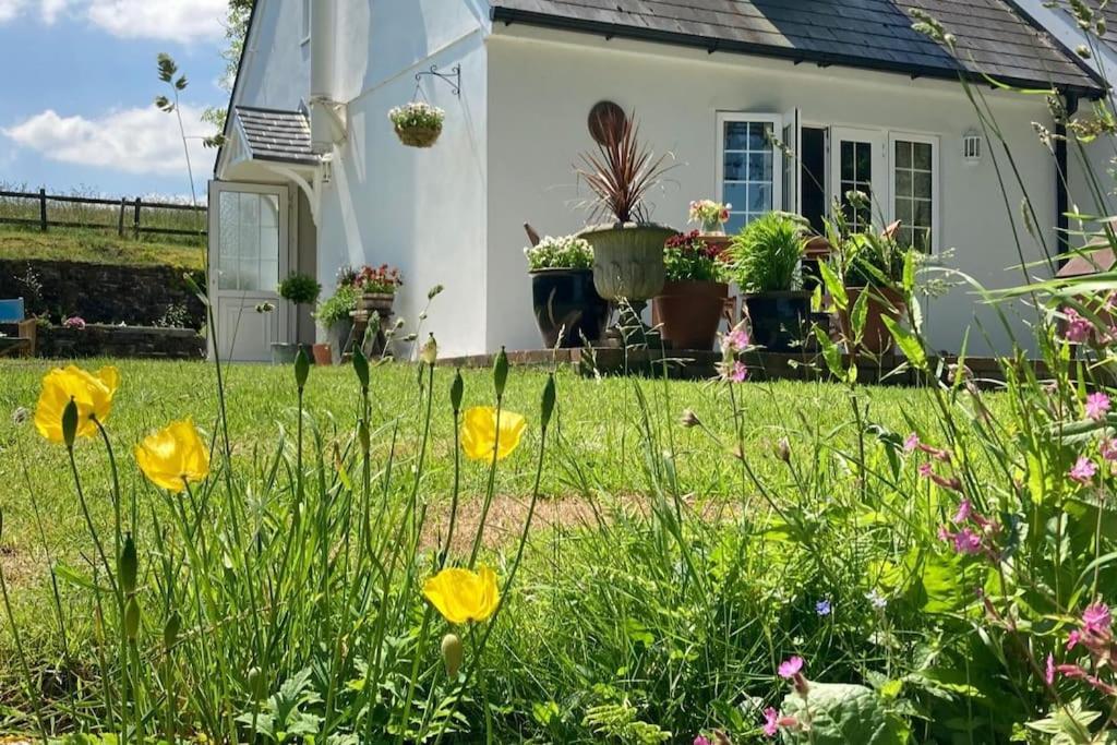 Willa Cargibbitt Annexe Liskeard Zewnętrze zdjęcie