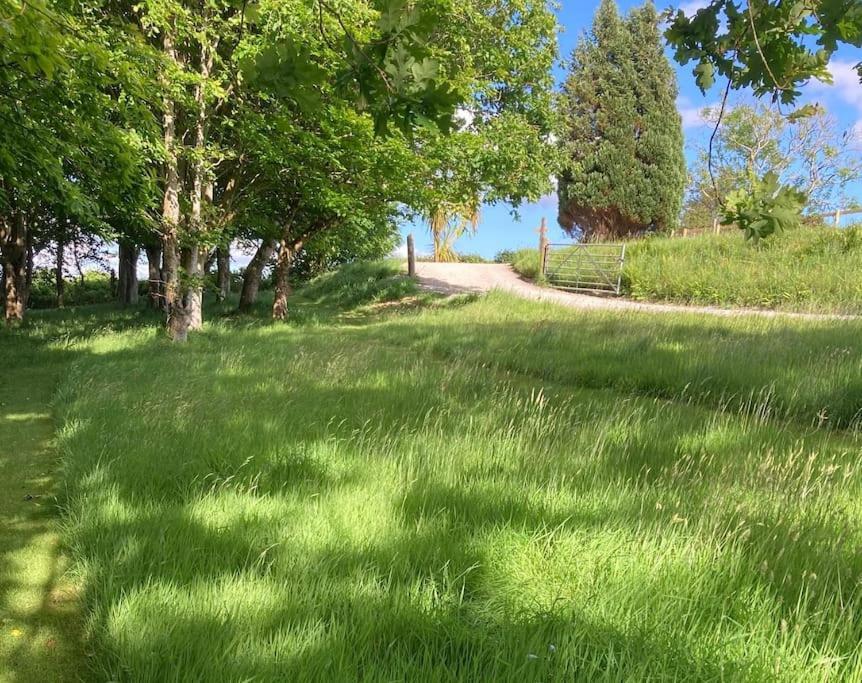 Willa Cargibbitt Annexe Liskeard Zewnętrze zdjęcie