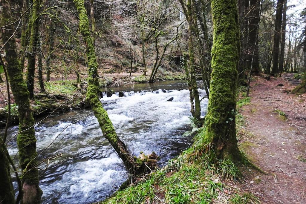 Willa Cargibbitt Annexe Liskeard Zewnętrze zdjęcie
